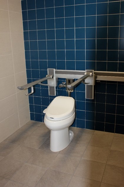 Support bars in bathroom can be lifted to an upward stance as well as moved up/down and right/left.